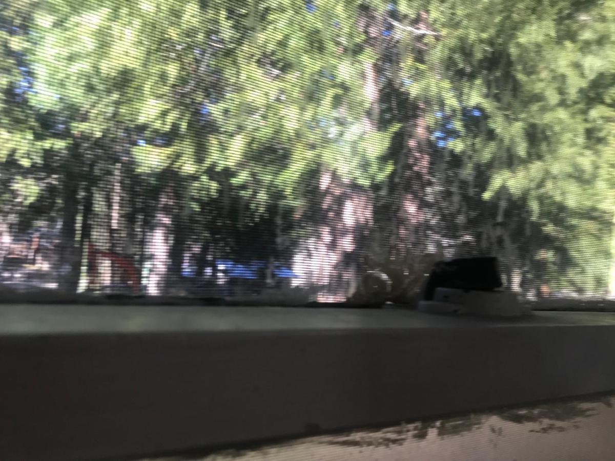 Dunsmuir Lodge Bagian luar foto