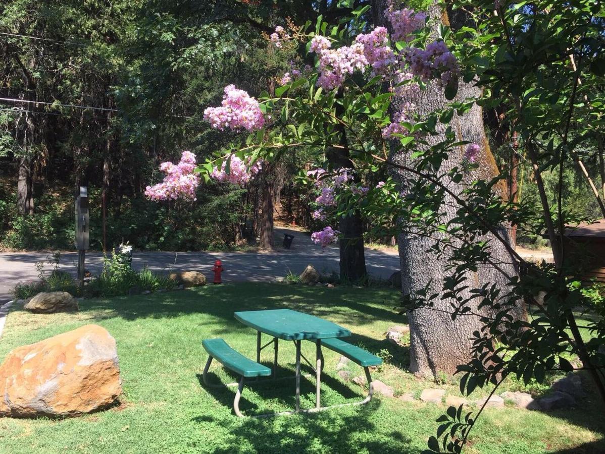 Dunsmuir Lodge Bagian luar foto
